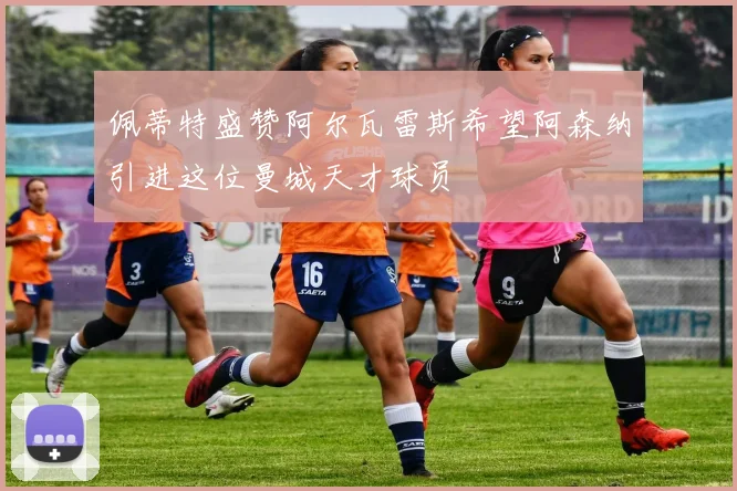 佩蒂特盛赞阿尔瓦雷斯希望阿森纳引进这位曼城天才球员